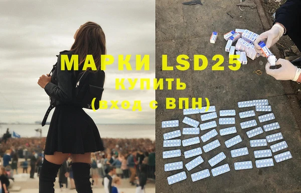 прущие грибы Киренск