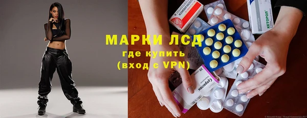 прущие грибы Киренск