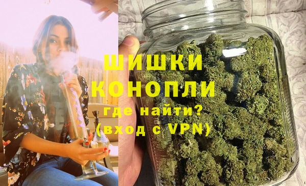 прущие грибы Киренск