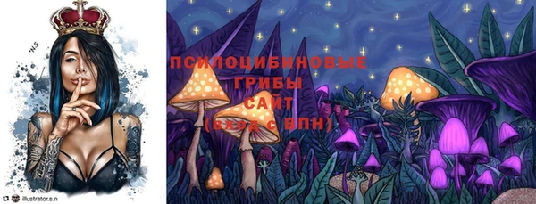 apvp Кинешма
